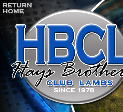 Hays Brothers Club Lambs